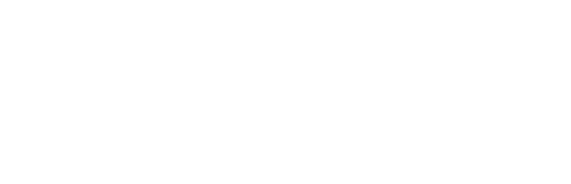 Shin Clark